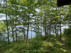 Another Lake view - 