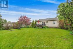Backyard - 