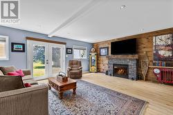 Cozy living room - 