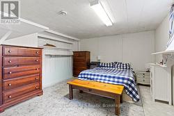 Lower level 4th bedroom - 