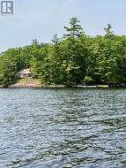 Easy walk from dock to the cottage - 