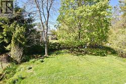 Backyard - 
