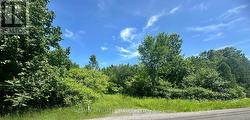 4891 PROCTOR ROAD South Glengarry, ON K0C 2J0