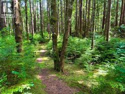 269 NAIKOON PLACE Masset, BC V0T 1M0