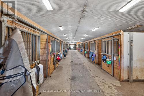 30 ASH STALLS - 564 8Th Concession Road E, Hamilton, ON 