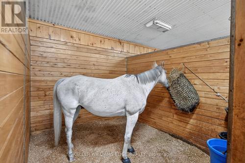 564 8Th Concession Road E, Hamilton, ON 