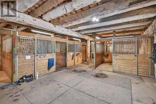 STABLES - 564 8Th Concession Road E, Hamilton, ON 