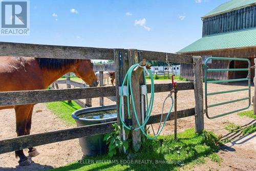 PADDOCKS WITH WATER & HYDRO - 564 8Th Concession Road E, Hamilton, ON 