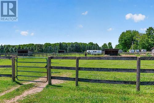 20 PADDOCKS IN TOTAL - 564 8Th Concession Road E, Hamilton, ON 