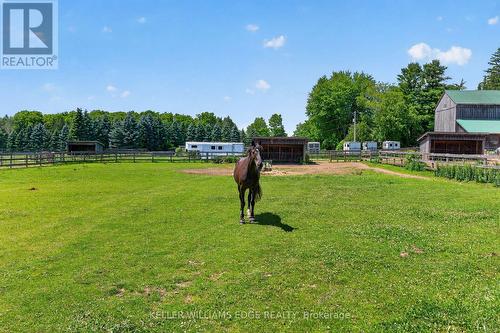 PADDOCKS - 564 8Th Concession Road E, Hamilton, ON 