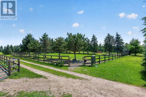 PADDOCKS - 564 8Th Concession Road E, Hamilton, ON 