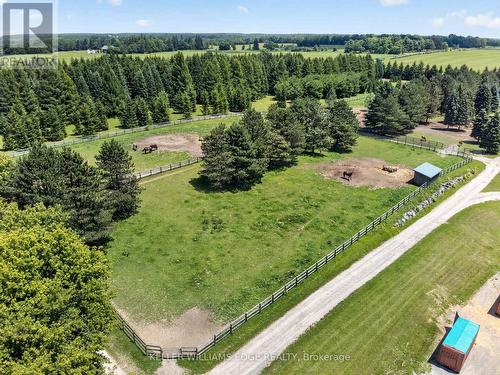 AERIAL VIEW - 564 8Th Concession Road E, Hamilton, ON 
