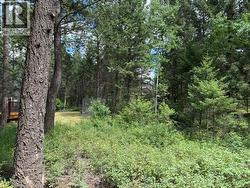 Ridge Way Lot# 114 Windermere, BC V0A 1K3