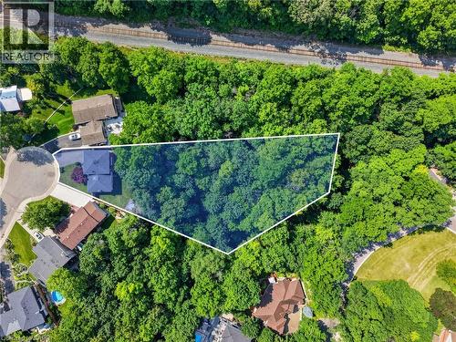 Wooded lot with mature trees - 9 Leslie Drive, Hamilton, ON - Outdoor With View
