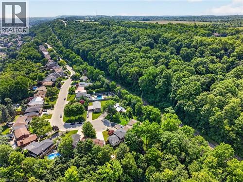 Aerial perspective showcasing a residential street bordered by expansive mature woodlands and a distant field - 9 Leslie Drive, Hamilton, ON - Outdoor With View