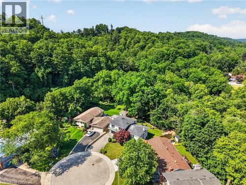Aerial depiction of a residential area with extensive tree coverage - 9 Leslie Drive, Hamilton, ON - Outdoor