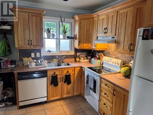 170 Byrd Avenue, Gander, NL - Indoor Photo Showing Kitchen With Double Sink