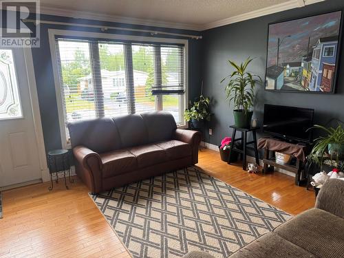 170 Byrd Avenue, Gander, NL - Indoor Photo Showing Living Room