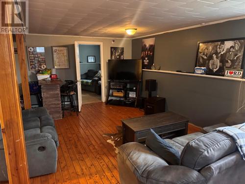170 Byrd Avenue, Gander, NL - Indoor Photo Showing Living Room