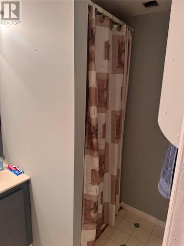 170 Byrd Avenue, Gander, NL - Indoor Photo Showing Bathroom