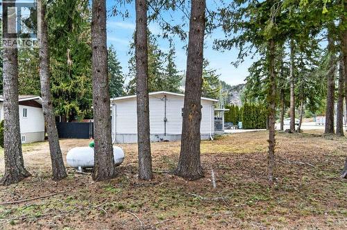 1 Wolfe Street, Sicamous, BC - Outdoor