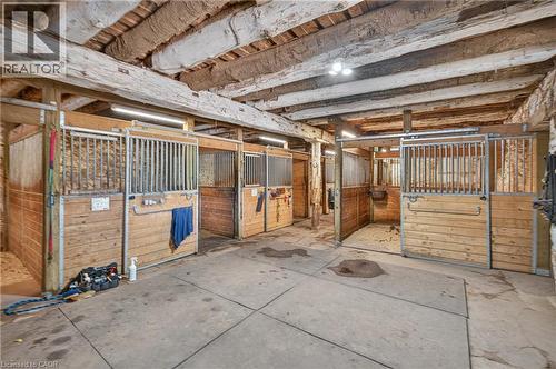 564 8Th Concession Road E, Carlisle, ON 