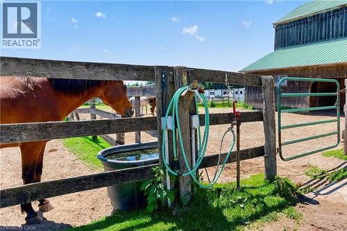 PADDOCKS WITH WATER & HYDRO - 564 8Th Concession Road E, Carlisle, ON 