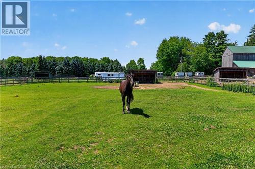 564 8Th Concession Road E, Carlisle, ON 