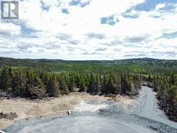 17 Emerald Cove  Portugal Cove-St. Phlips, NL A1M 0G7