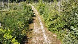PT LOT 80 GREY ROAD Grey Highlands, ON N0C 1M0