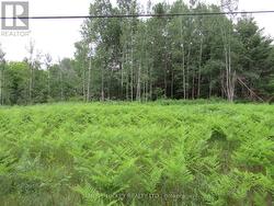 PT LOT 48, RANGE B HWY 17 HIGHWAY Laurentian Hills, ON K0J 2H0
