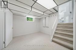 Basement Bonus area - 