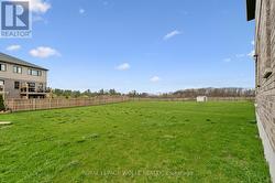 Backyard - 