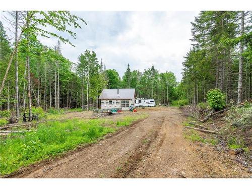 174 Armstrong Mills Rd, Waweig, NB 