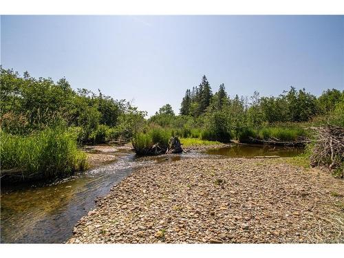 11464 Route 114, South Branch, NB 