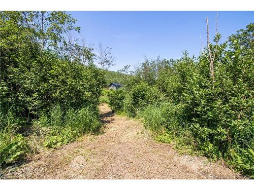 11464 Route 114, South Branch, NB 