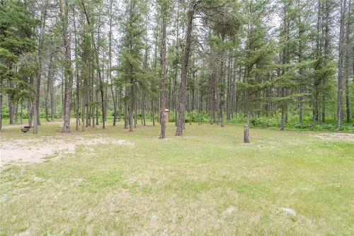 0 1 Road N, Piney Rm, MB 