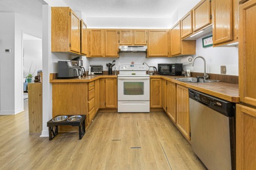 Kitchen - 101-3470 Rue Durocher, Montréal (Le Plateau-Mont-Royal), QC 