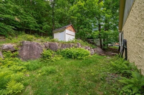 Remise - 2870 1Er Rang De Doncaster, Val-David, QC 