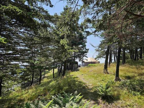 895 Shore Road, Road, Moose Harbour, NS 