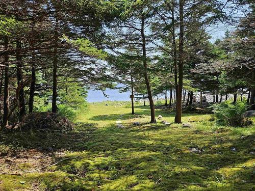 895 Shore Road, Road, Moose Harbour, NS 