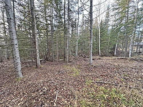 115 Golf Course Road, Nipigon, ON 