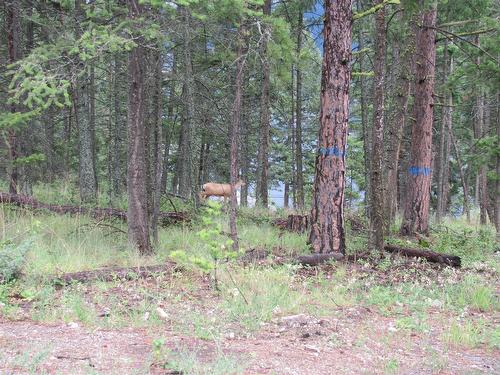 680 Fairbridge Road, Fintry, BC 