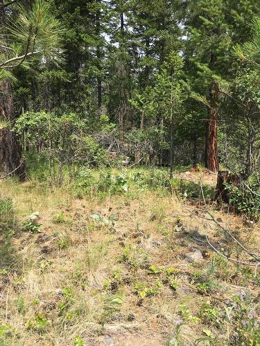 680 Fairbridge Road, Fintry, BC 