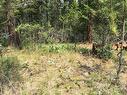 680 Fairbridge Road, Fintry, BC 