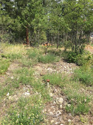 680 Fairbridge Road, Fintry, BC 