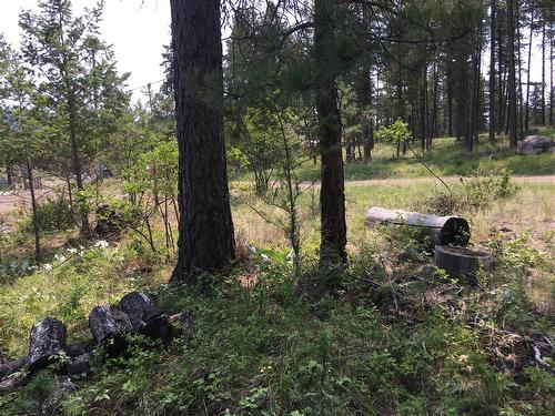680 Fairbridge Road, Fintry, BC 