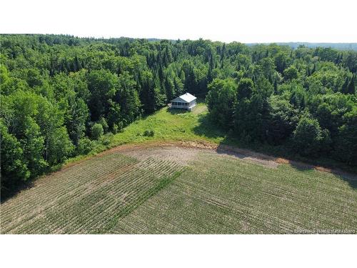 438 Sharkey Rd, Jacksontown, NB 