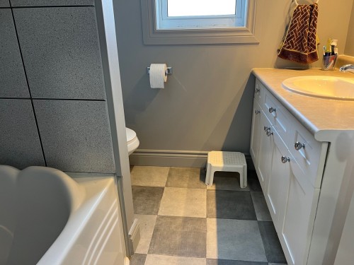 Salle de bains - 12 Rue Principale O., Latulipe-Et-Gaboury, QC - Indoor Photo Showing Bathroom