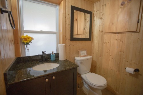 Salle de bains - 320 Ch. Larose, Saint-Émile-De-Suffolk, QC 